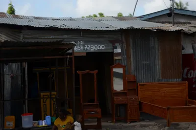 DSC_7537 (Large).JPG